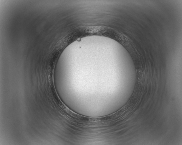 X0000057080510200509090916