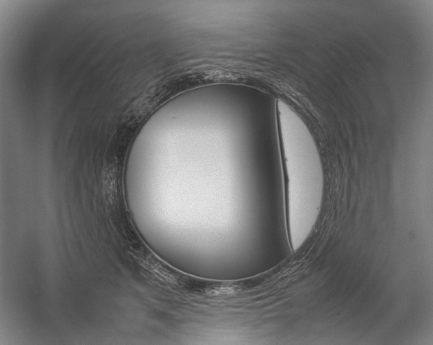 X0000057080513200509090916