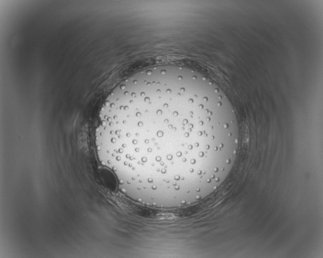 X0000057080519200509090916