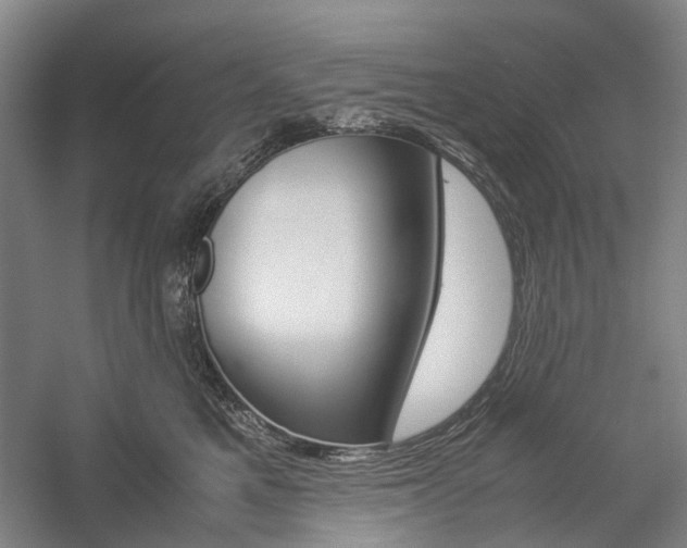 X0000057080521200509090916