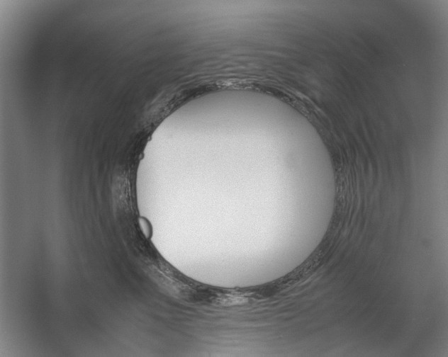 X0000057080523200509090916