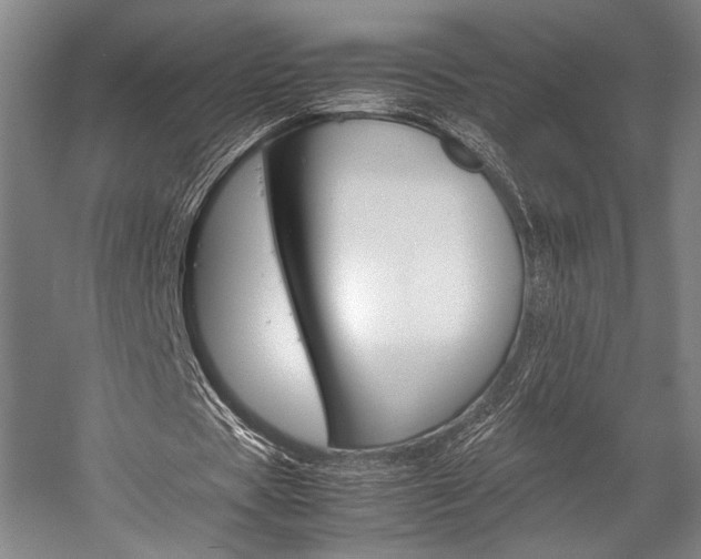X0000057080529200509090915