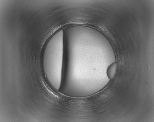 X0000057080533200509090915