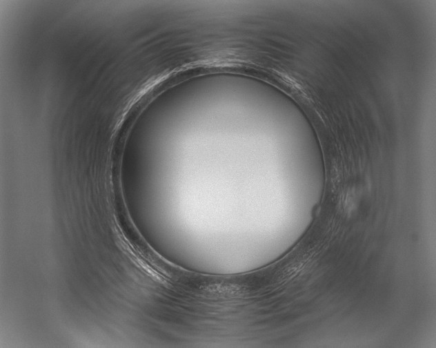 X0000057080535200509090915