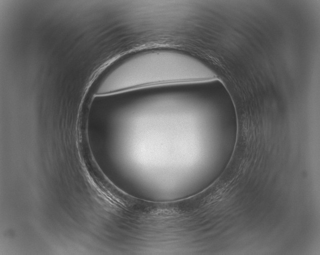 X0000057080536200509090915