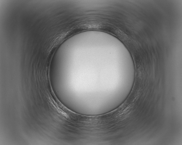 X0000057080537200509090915