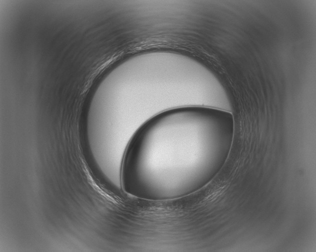X0000057080538200509090915