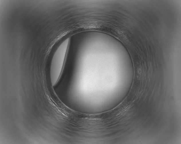X0000057080539200509090915