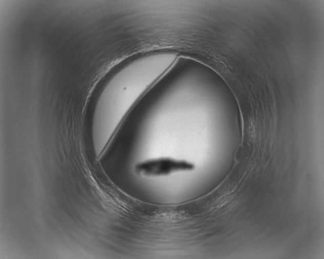 X0000057080540200509090915