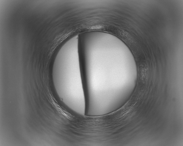 X0000057080541200509090915