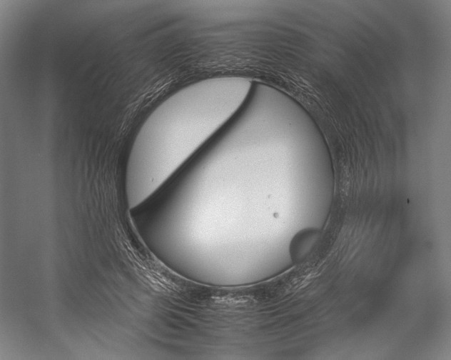 X0000057080545200509090915