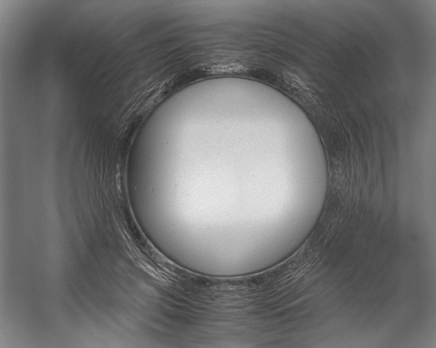 X0000057080549200509090915