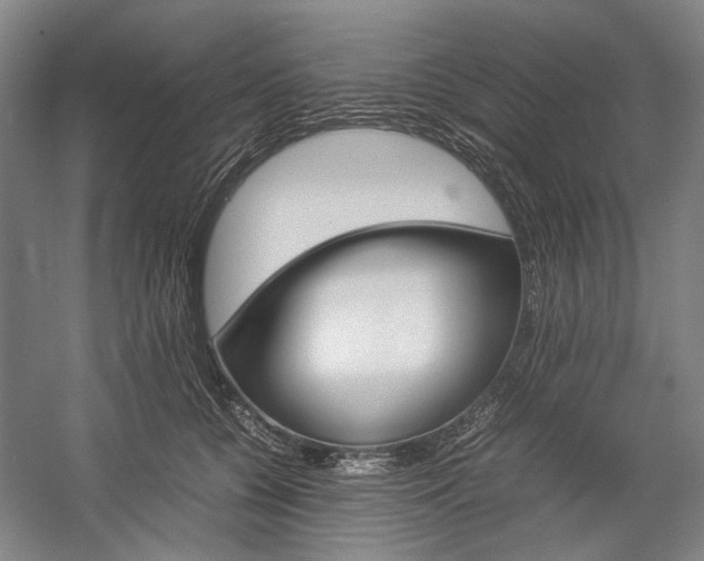 X0000057080560200509090915