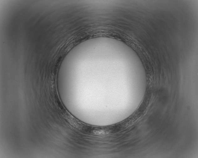 X0000057080561200509090915