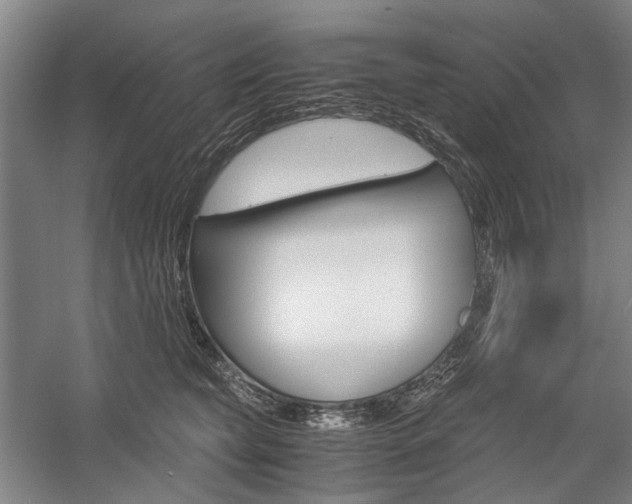 X0000057080565200509090916
