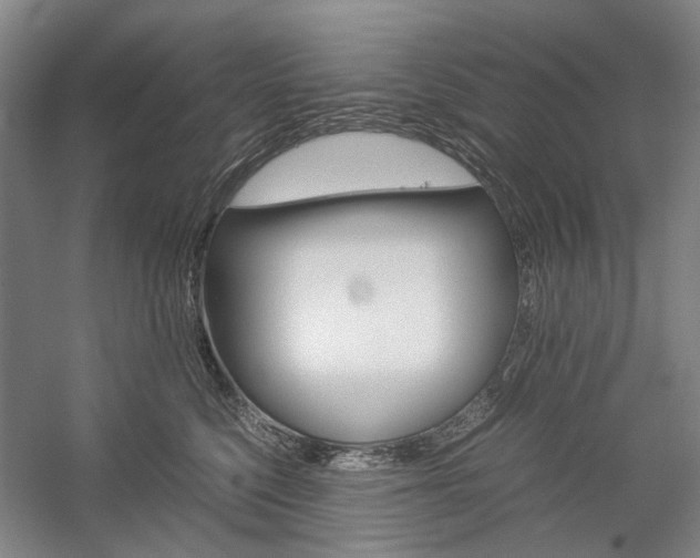 X0000057080568200509090916
