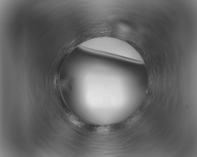 X0000057080574200509090916