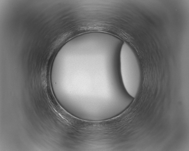 X0000057080578200509090915