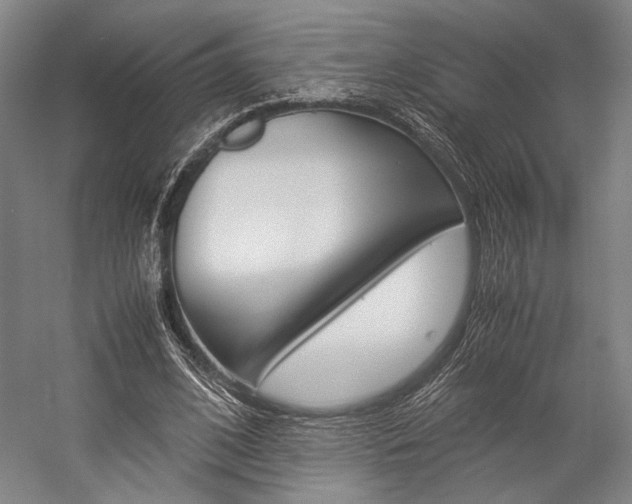 X0000057080584200509090915