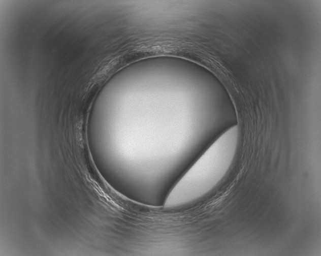 X0000057080585200509090915