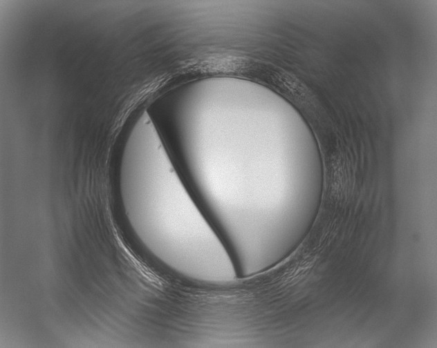 X0000057080586200509090915