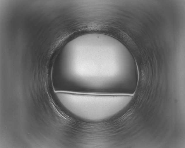 X0000057080588200509090915