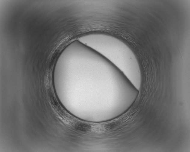 X0000057080591200509090915