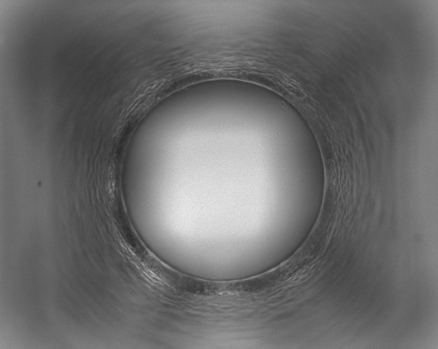X0000057080593200509090915