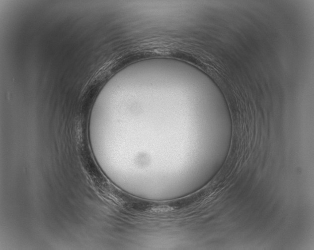 X0000057080595200509090915