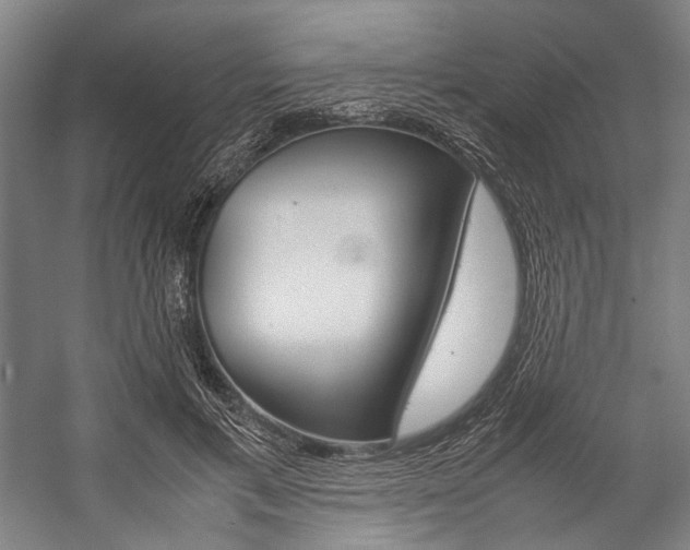 X0000057080597200509090915