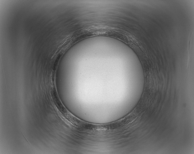 X0000057080598200509090915