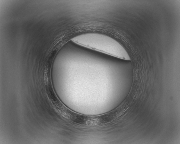 X0000057080599200509090915