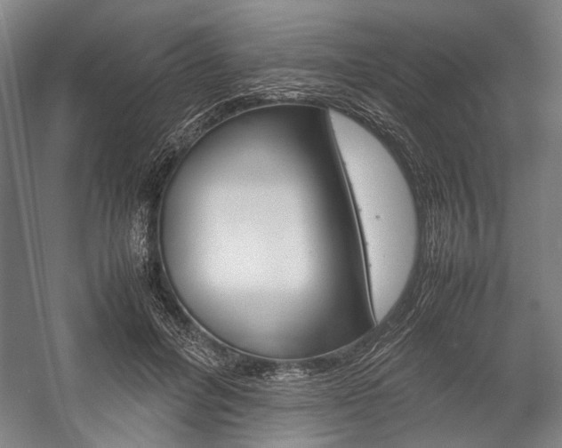 X0000057080600200509090914