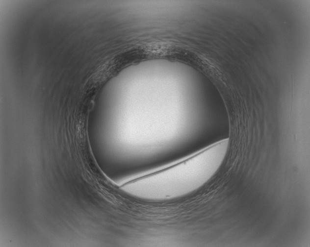 X0000057080601200509090914