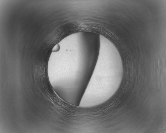X0000057080603200509090914