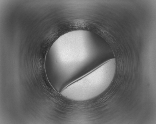 X0000057080608200509090914