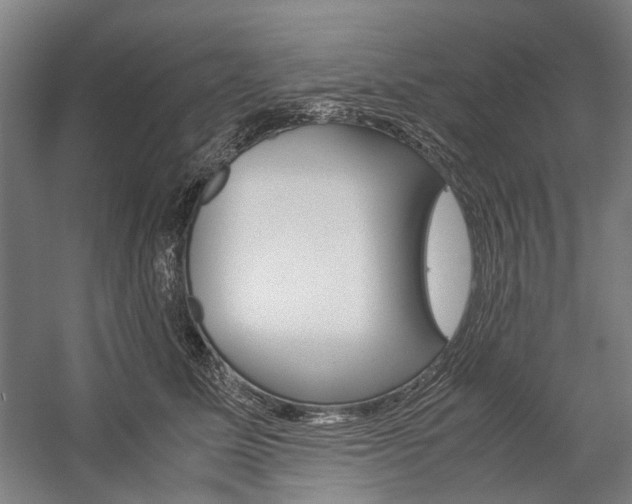 X0000057080611200509090914