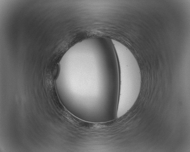 X0000057080617200509090914