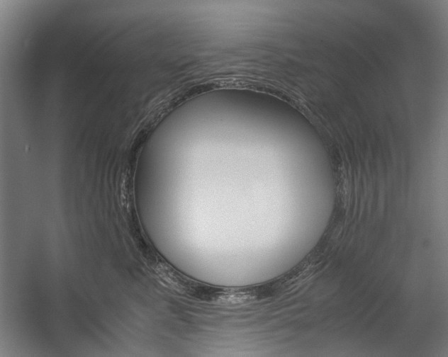 X0000057080619200509090914