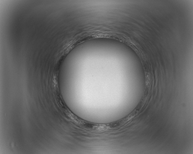 X0000057080621200509090914