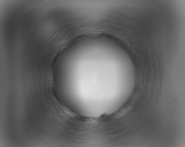 X0000057080624200509090914