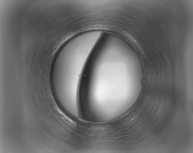 X0000057080625200509090913