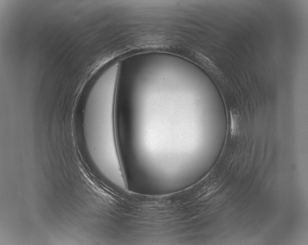 X0000057080627200509090913