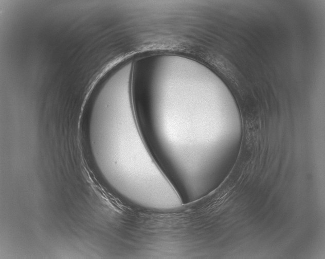 X0000057080628200509090913
