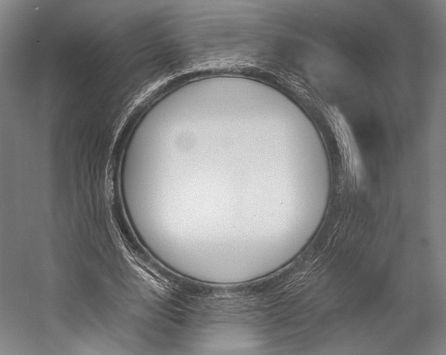 X0000057080632200509090913