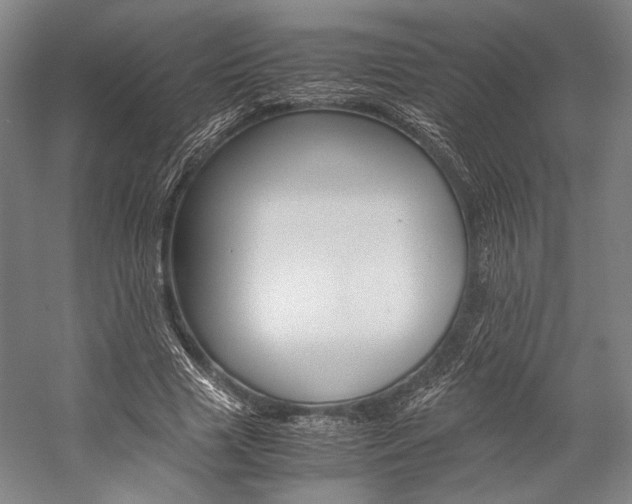 X0000057080633200509090913