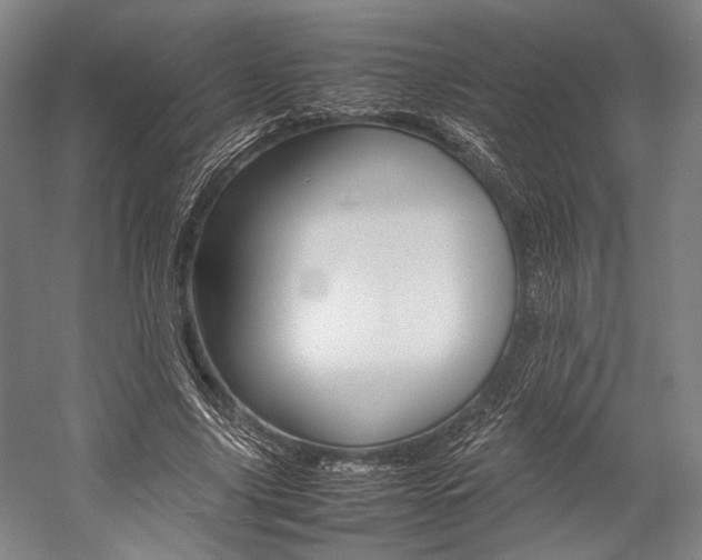 X0000057080635200509090913