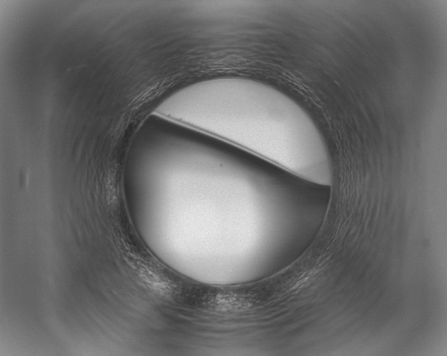 X0000057080641200509090914