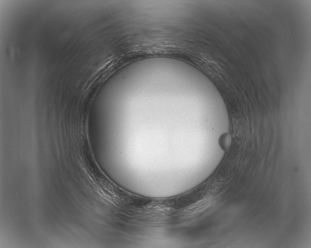 X0000057080648200509090914