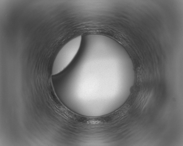 X0000057080650200509090914